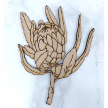 OPEN LARGE WOOD PROTEA