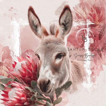 DECOUPAGE PROTEA DONKEY PORTRAIT A3