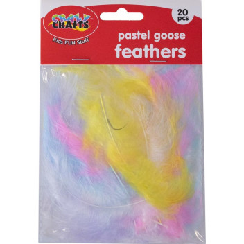 CRAFT PASTEL FEATHER 20PIECE