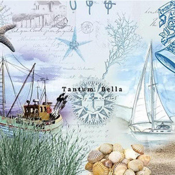 COASTAL TREASURE DECOUPAGE A3