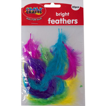 CRAFT BRIGHT FEATHER 20PIECE