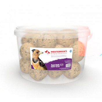 BERRY SUET BALLS BIRD FOOD 25X125G
