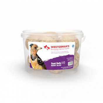 BERRY SUET BALLS BIRD FOOD 10X125G