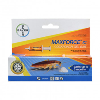 GEL BAIT IC MAXFORCE 20G