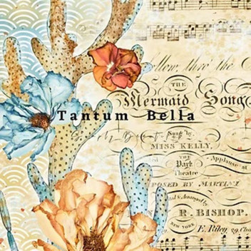 TIDES AND TREASURES DECOUPAGE A4