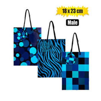 MEDIUM MALE PAPER GIFT BAG 18X23CM
