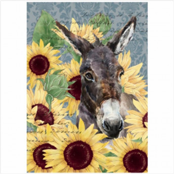 DONKEY AND DAISIES PAPER PRINT DECO A4