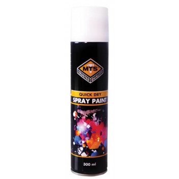 PAINT SPRAY MTS1909 GLOSS WHITE 300ML MTS